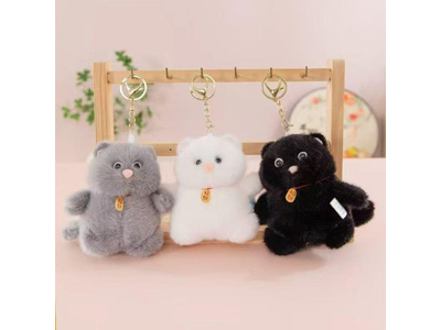 <img src='photo/P/JP006878.jpg'width='400' height='300'>