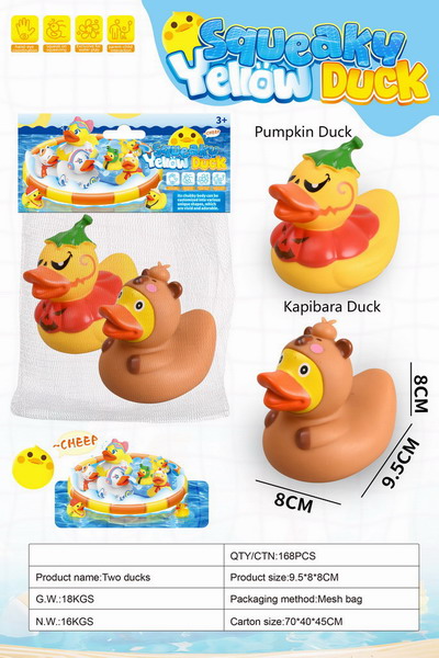 <img src='photo/R/JR057791.jpg'width='400' height='300'>