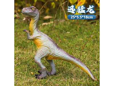 <img src='photo/R/JR057928.jpg'width='400' height='300'>