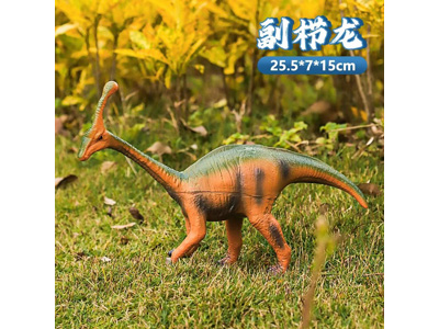 <img src='photo/R/JR057930.jpg'width='400' height='300'>