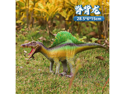 <img src='photo/R/JR057931.jpg'width='400' height='300'>