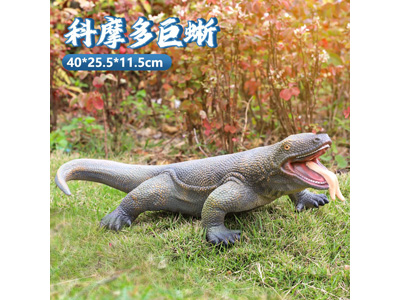 <img src='photo/R/JR057937.jpg'width='400' height='300'>