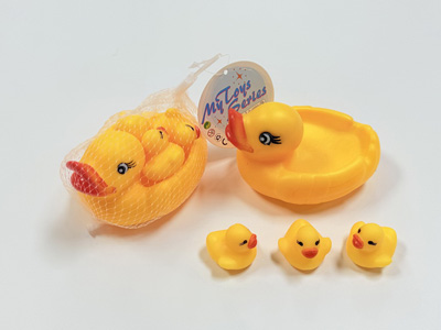 <img src='photo/R/JR057963.jpg'width='400' height='300'>