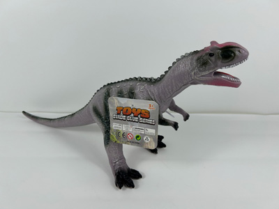 <img src='photo/R/JR058151.jpg'width='400' height='300'>