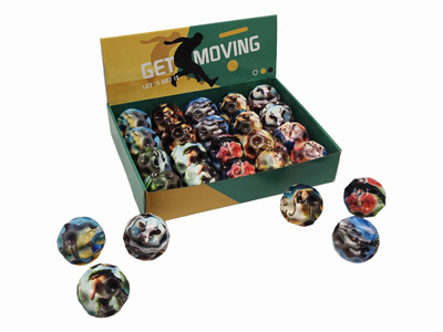 <img src='photo/S/JS086548.jpg'width='400' height='300'>