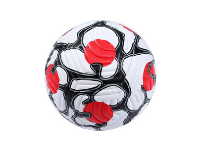 <img src='photo/S/JS086608.jpg'width='400' height='300'>