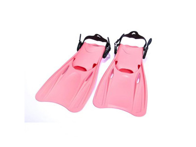 <img src='photo/V/JV097633.jpg'width='400' height='300'>