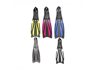 <img src='photo/V/JV097642.jpg'width='400' height='300'>