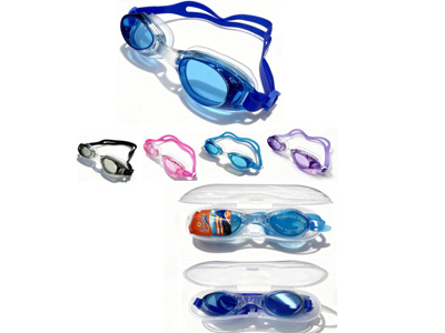 <img src='photo/V/JV097668.jpg'width='400' height='300'>