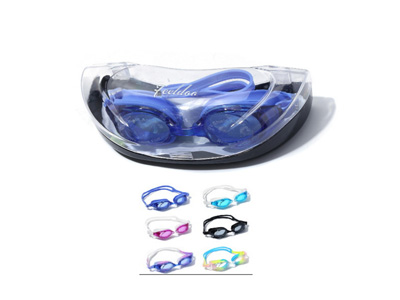 <img src='photo/V/JV097680.jpg'width='400' height='300'>