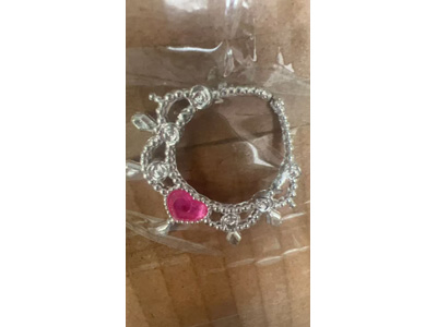 <img src='photo/X/JX085587.jpg'width='400' height='300'>