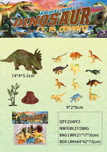 <img src='photo/Z/JZ087801.jpg'width='400' height='300'>