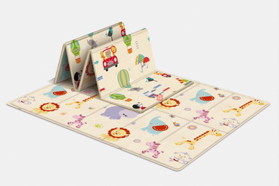 <img src='photo/Z/JZ087951.jpg'width='400' height='300'>