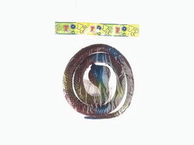 <img src='photo/Z/JZ097619.jpg'width='400' height='300'>