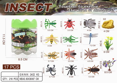 <img src='photo/Z/JZ099503.jpg'width='400' height='300'>