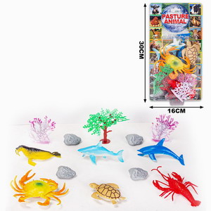 <img src='photo/Z/JZ101052.jpg'width='400' height='300'>