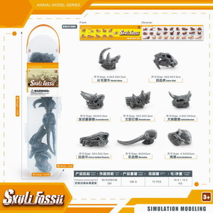 <img src='photo/Z/JZ101227.jpg'width='400' height='300'>