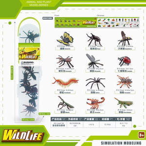 <img src='photo/Z/JZ101236.jpg'width='400' height='300'>