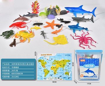 <img src='photo/Z/JZ101379.jpg'width='400' height='300'>