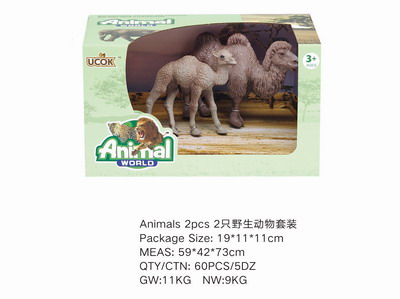 <img src='photo/Z/JZ101519.jpg'width='400' height='300'>