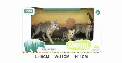 <img src='photo/Z/JZ101553.jpg'width='400' height='300'>