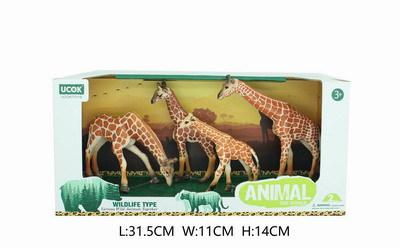 <img src='photo/Z/JZ101577.jpg'width='400' height='300'>