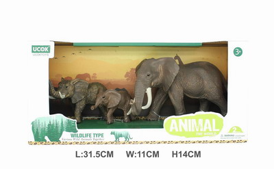 <img src='photo/Z/JZ101578.jpg'width='400' height='300'>