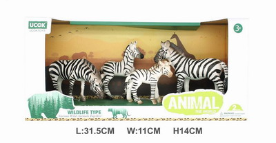 <img src='photo/Z/JZ101579.jpg'width='400' height='300'>