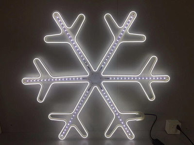 <img src='photo/Z/JZ102566.jpg'width='400' height='300'>