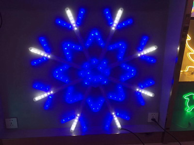 <img src='photo/Z/JZ102580.jpg'width='400' height='300'>