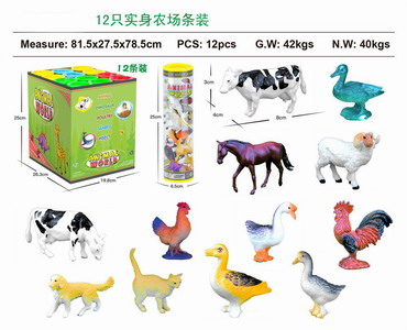 <img src='photo/Z/JZ103538.jpg'width='400' height='300'>