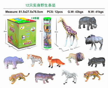 <img src='photo/Z/JZ103542.jpg'width='400' height='300'>