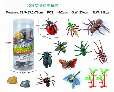 <img src='photo/Z/JZ103552.jpg'width='400' height='300'>