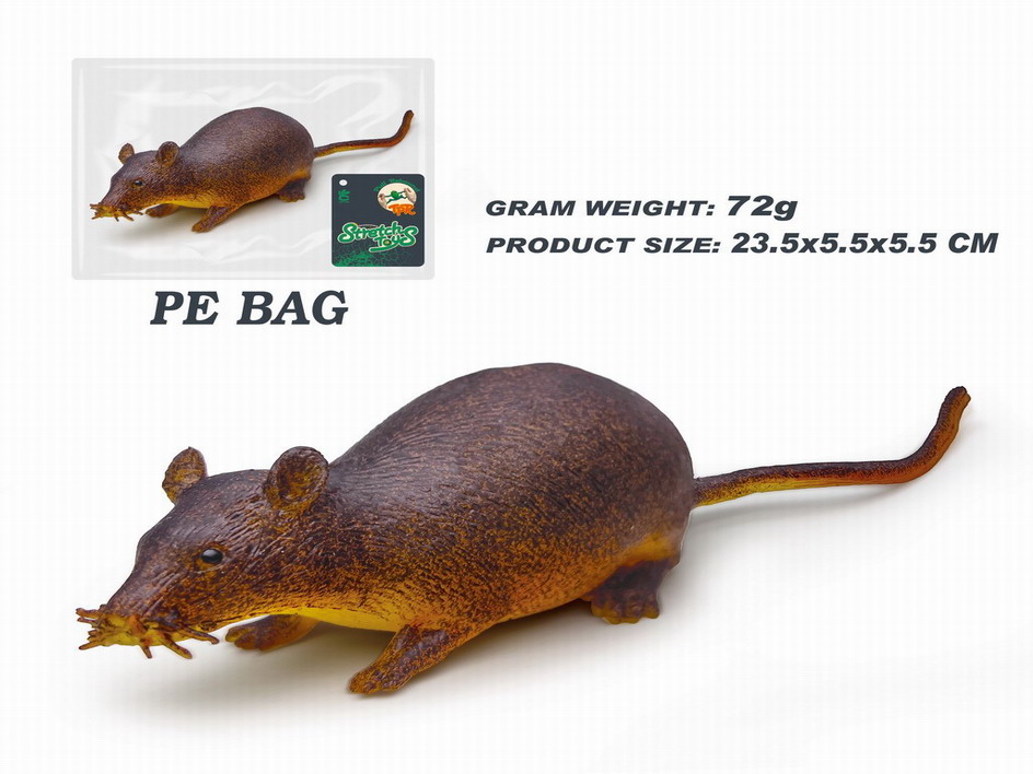 <img src='photo/Z/JZ115028.jpg'width='400' height='300'>