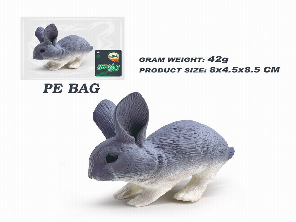 <img src='photo/Z/JZ115029.jpg'width='400' height='300'>