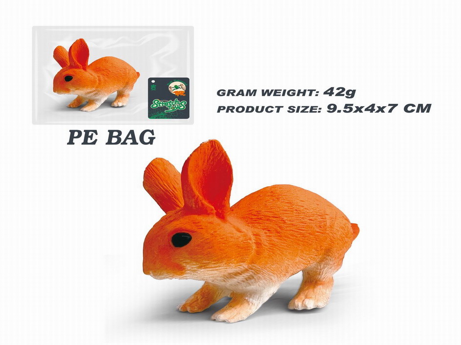 <img src='photo/Z/JZ115030.jpg'width='400' height='300'>