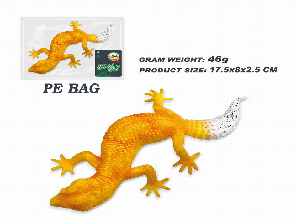 <img src='photo/Z/JZ115034.jpg'width='400' height='300'>