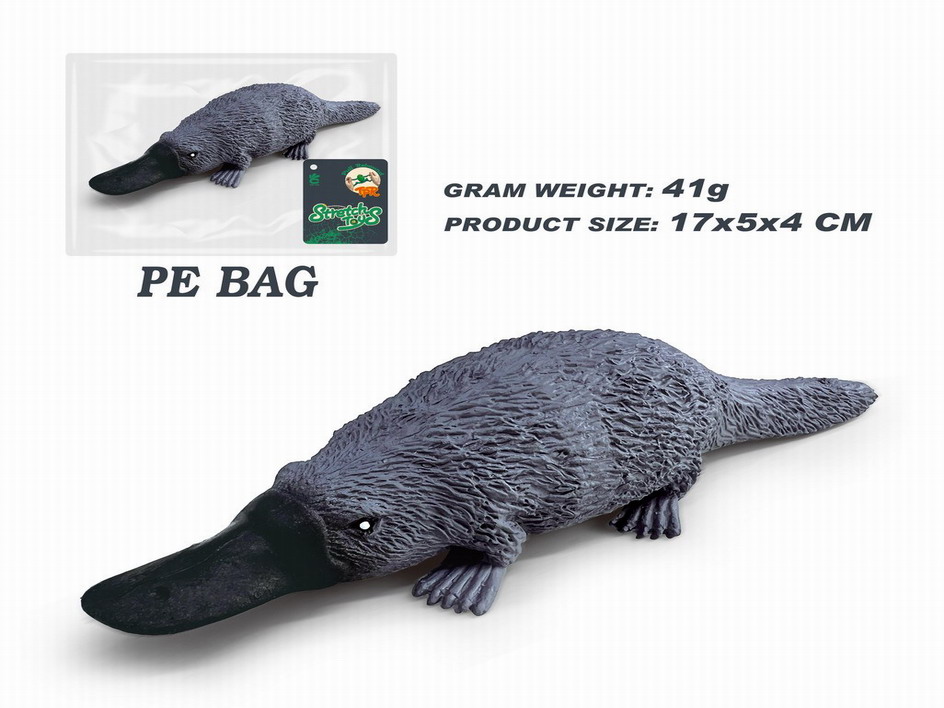 <img src='photo/Z/JZ115036.jpg'width='400' height='300'>