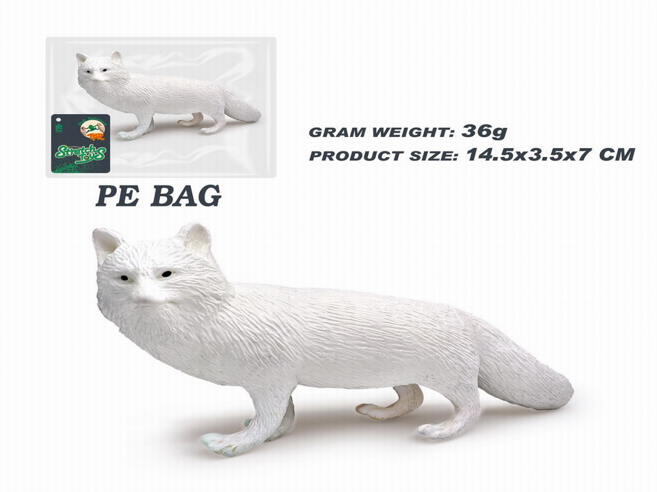 <img src='photo/Z/JZ115039.jpg'width='400' height='300'>
