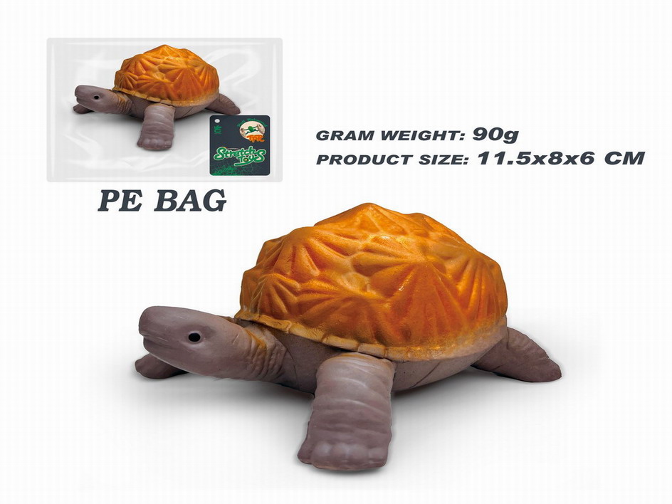 <img src='photo/Z/JZ115041.jpg'width='400' height='300'>