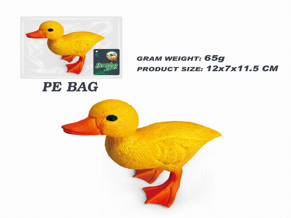 <img src='photo/Z/JZ115044.jpg'width='400' height='300'>