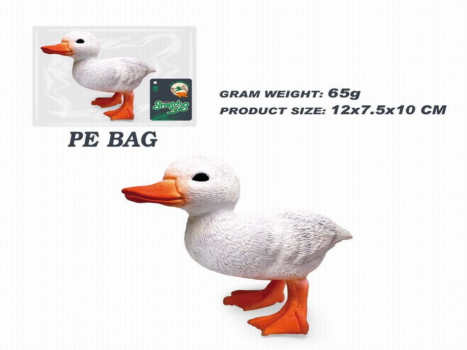 <img src='photo/Z/JZ115045.jpg'width='400' height='300'>