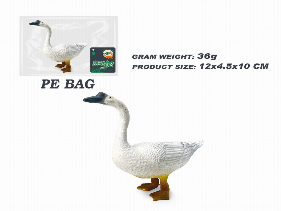 <img src='photo/Z/JZ115046.jpg'width='400' height='300'>