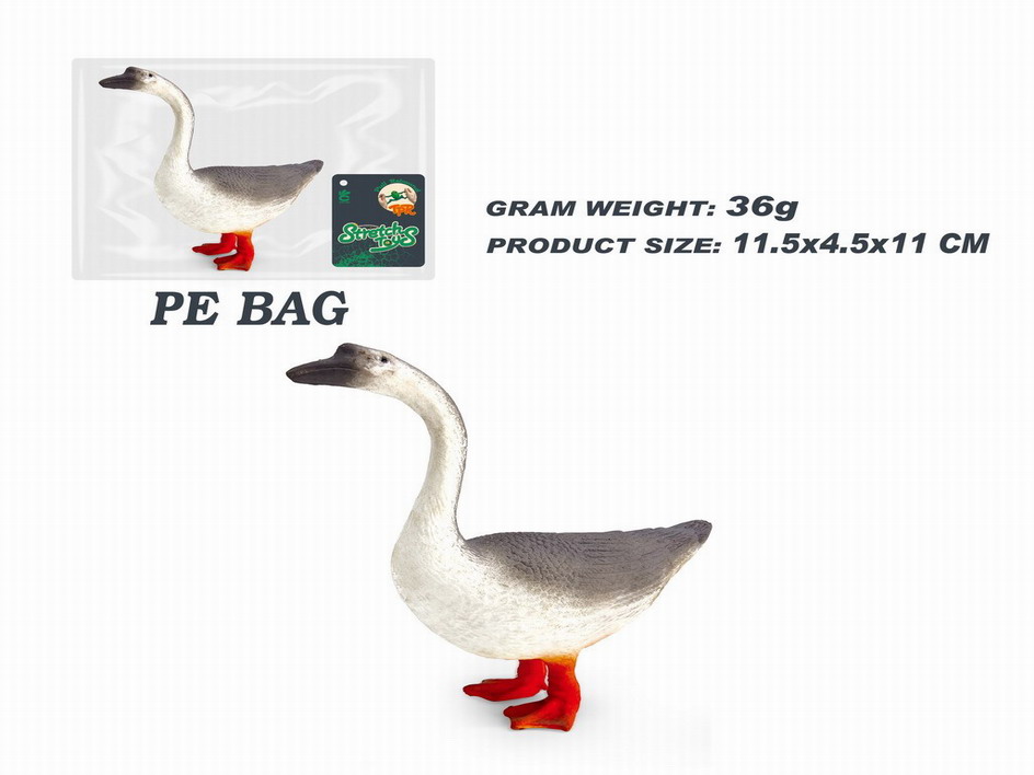 <img src='photo/Z/JZ115047.jpg'width='400' height='300'>