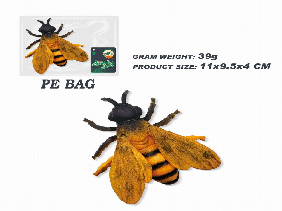 <img src='photo/Z/JZ115048.jpg'width='400' height='300'>