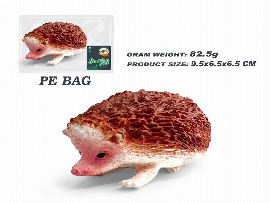 <img src='photo/Z/JZ115051.jpg'width='400' height='300'>