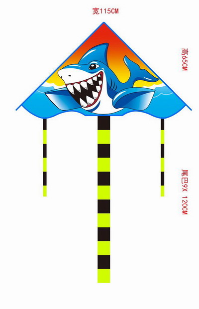 <img src='photo/Z/JZ119397.jpg'width='400' height='300'>