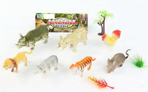 <img src='photo/Z/JZ120127.jpg'width='400' height='300'>