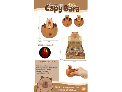 <img src='photo/Z/JZ123005.jpg'width='400' height='300'>