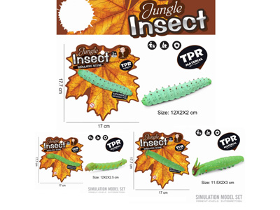 <img src='photo/Z/JZ123398.jpg'width='400' height='300'>